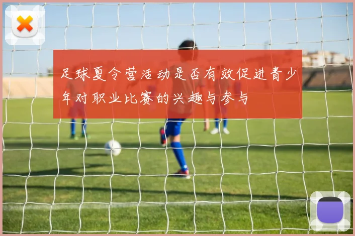 足球夏令营活动是否有效促进青少年对职业比赛的兴趣与参与
