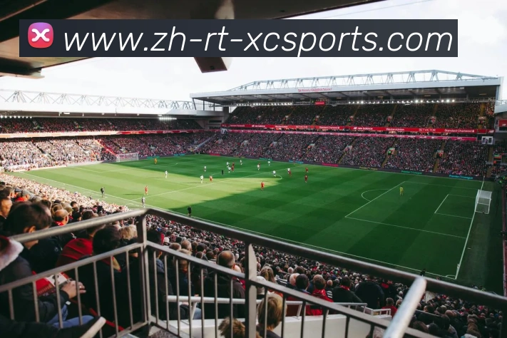 杏彩体育全站App